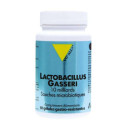 VITALL+ LACTOBACILLUS GASSERI 60 GELULES