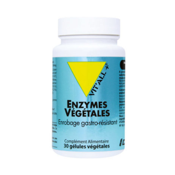VITTALL + ENZYMES VEGETAL 30 GELULES